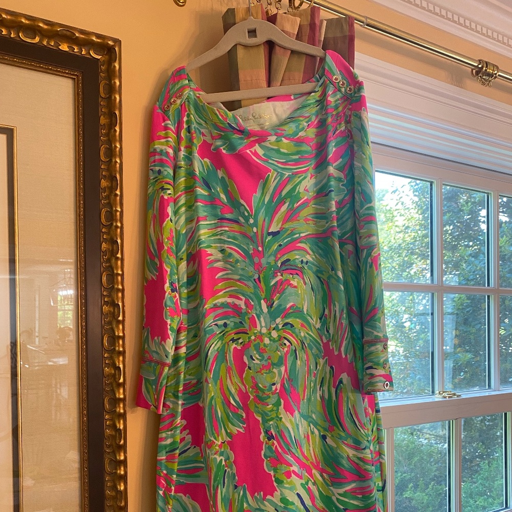 Lilly Putlizer UPF Sophie dress size large